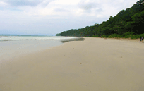 Golden Triangle Tour