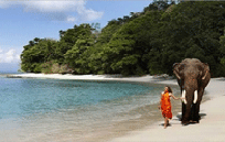 Golden Triangle Tour